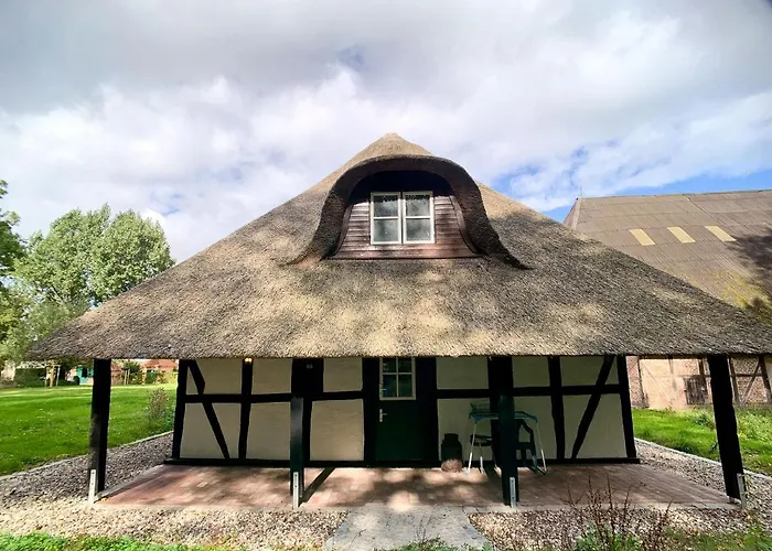 Reetdachkate Appartamento Neukirchen (Ostholstein)