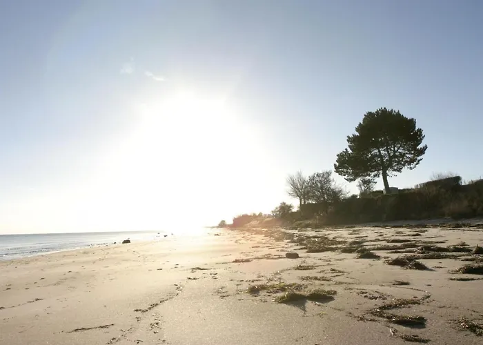 Reetdachkate Neukirchen (Ostholstein)